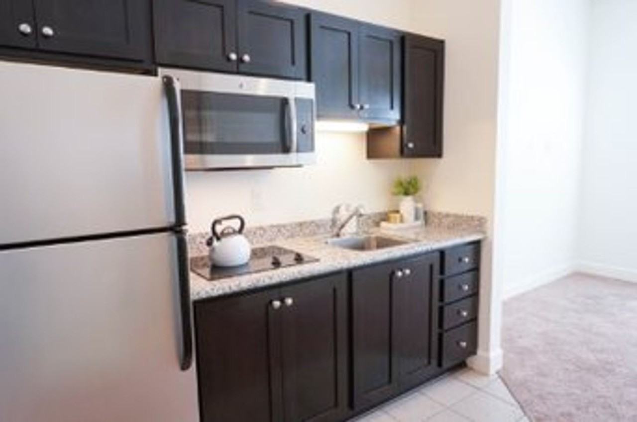 Sippi - Photo 5 of 36