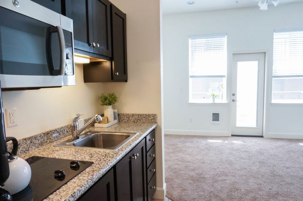 Sippi - Photo 6 of 36