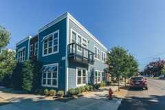 Spruce - Photo 1 of 1