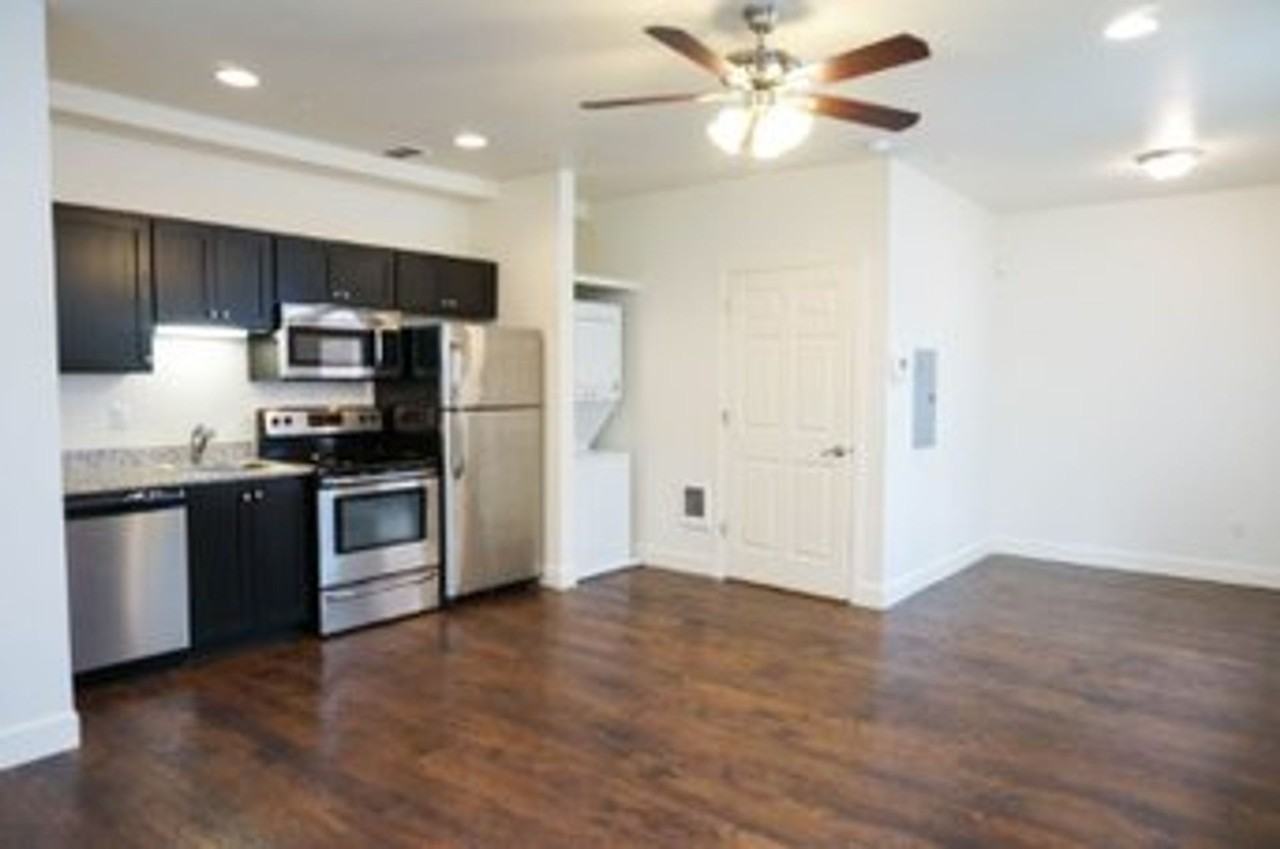 Spruce - Photo 2 of 50