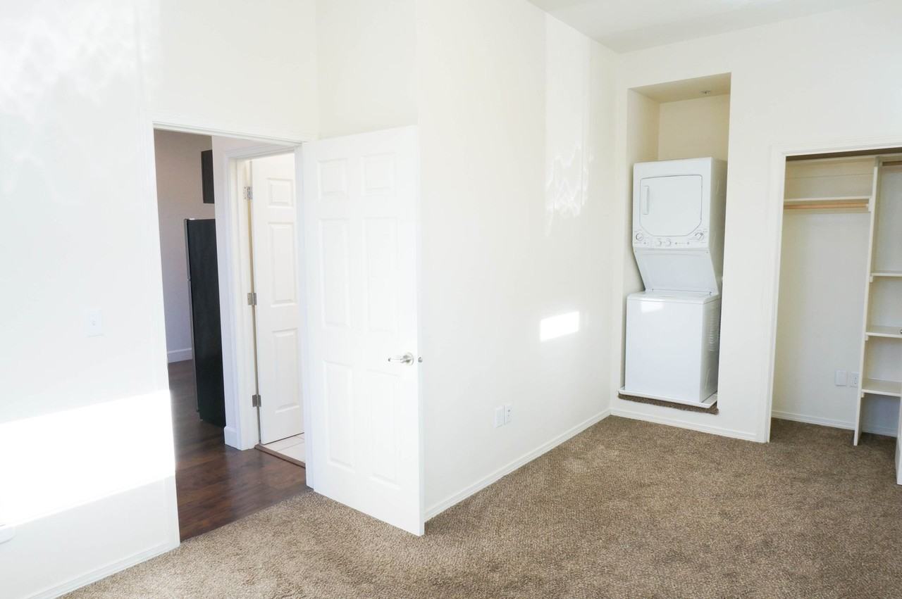 Spruce - Photo 5 of 50