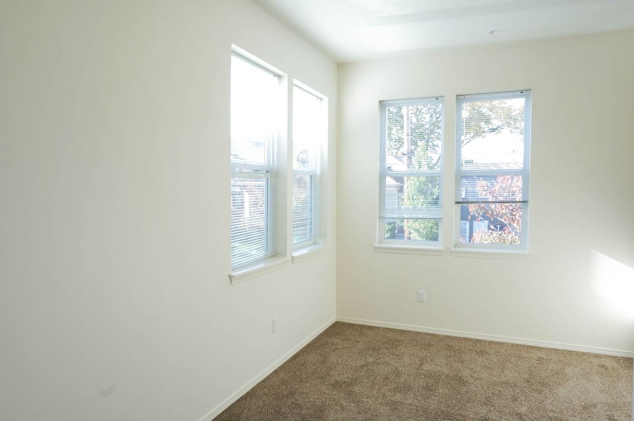 Spruce - Photo 7 of 50