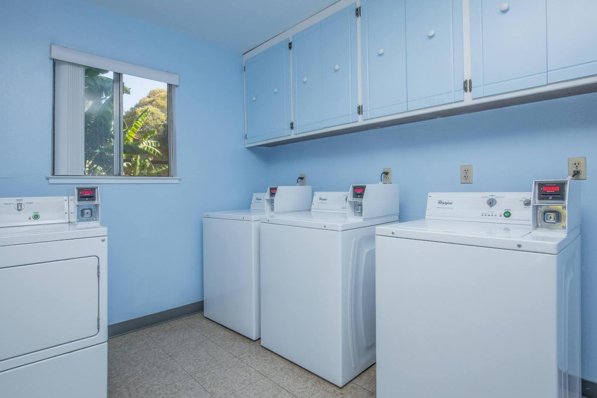 Yardley Gardens - Photo 5 of 18