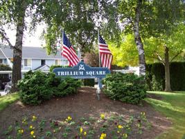 featured image of 901 North Pecan Court