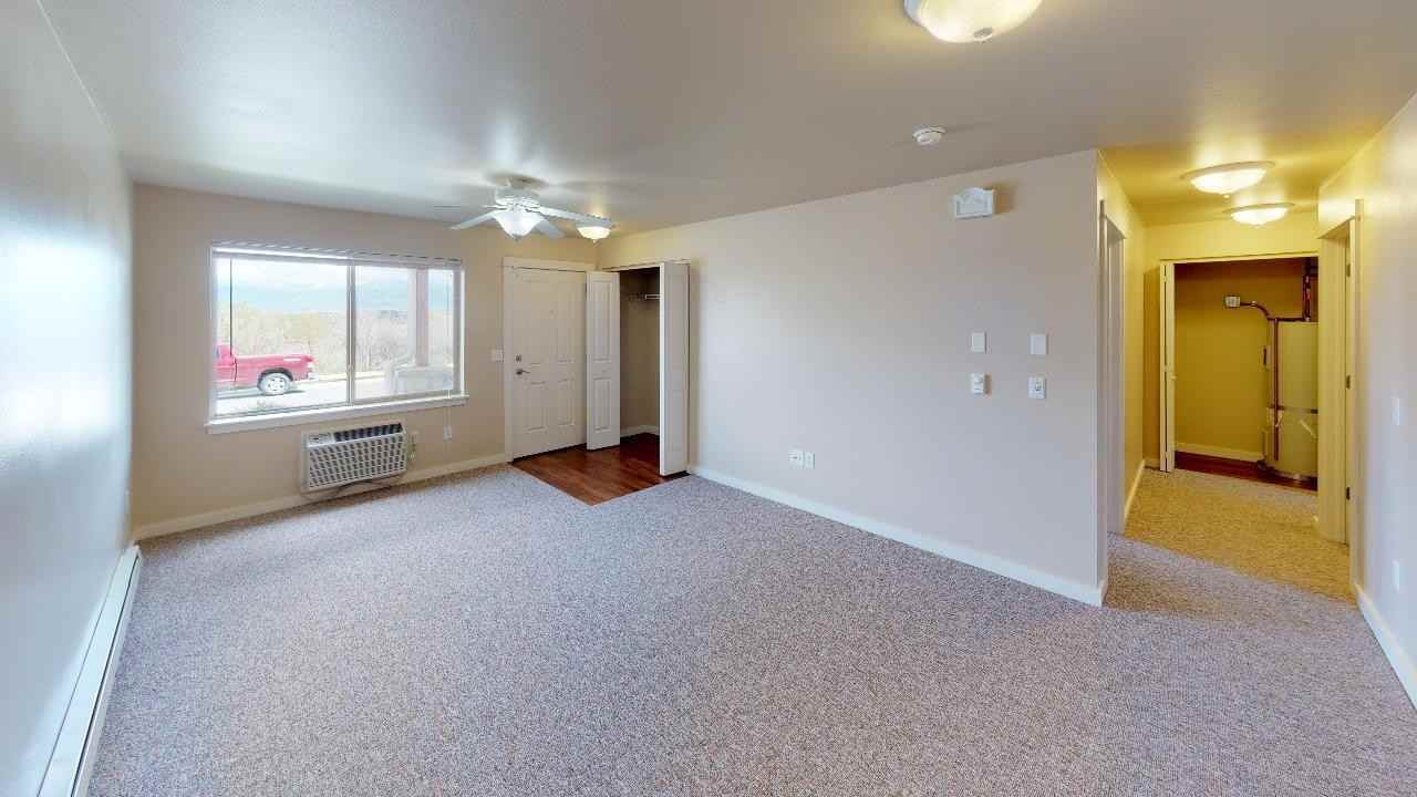 Studio, One Bedroom, Two Bedroom, Three Bedroom Apartments! All Animal Friendly! - Photo 7 of 50