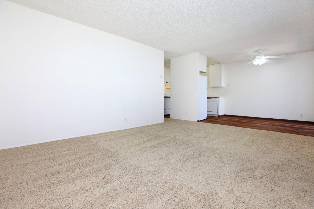 The Pines - Photo 2 of 34