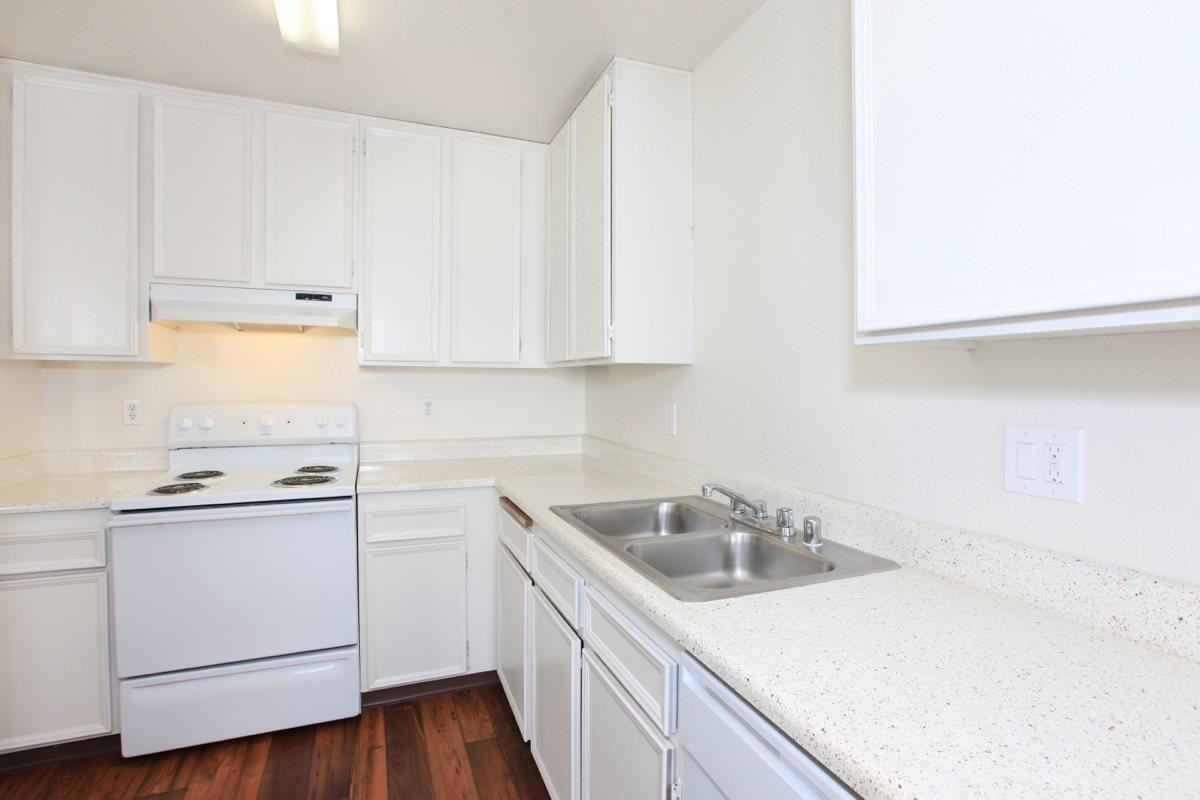 The Pines - Photo 4 of 34