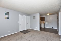 Shady Hollow - Photo 1 of 1