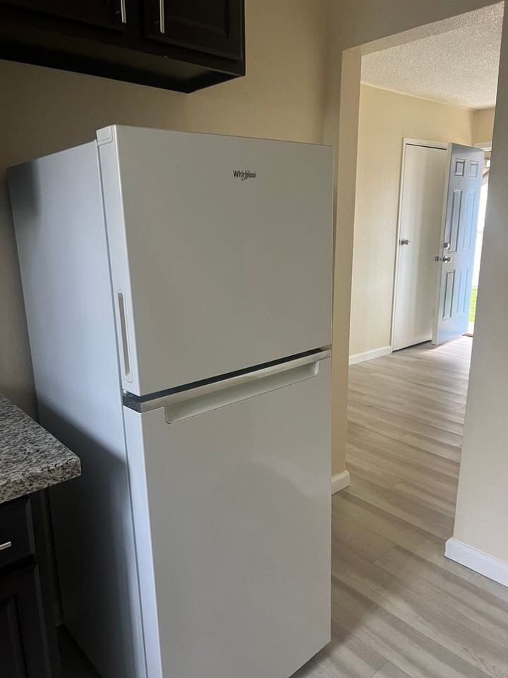 Morley 47 Apartments - Photo 5 of 16