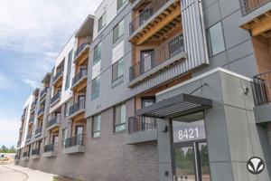 featured image of 4421 Bridle Ln