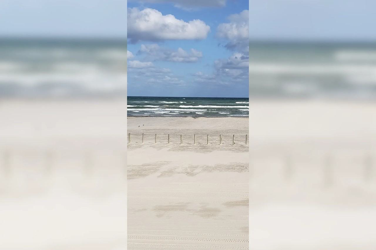 1419 S 11th St - Photo 2 of 16