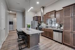 The Elmwood - Photo 1 of 1