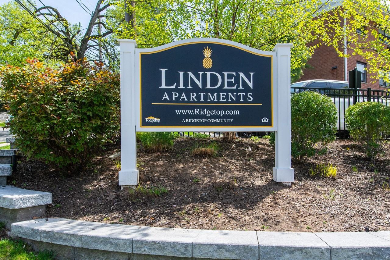 The Linden Apartments: In - Photo 3 of 50