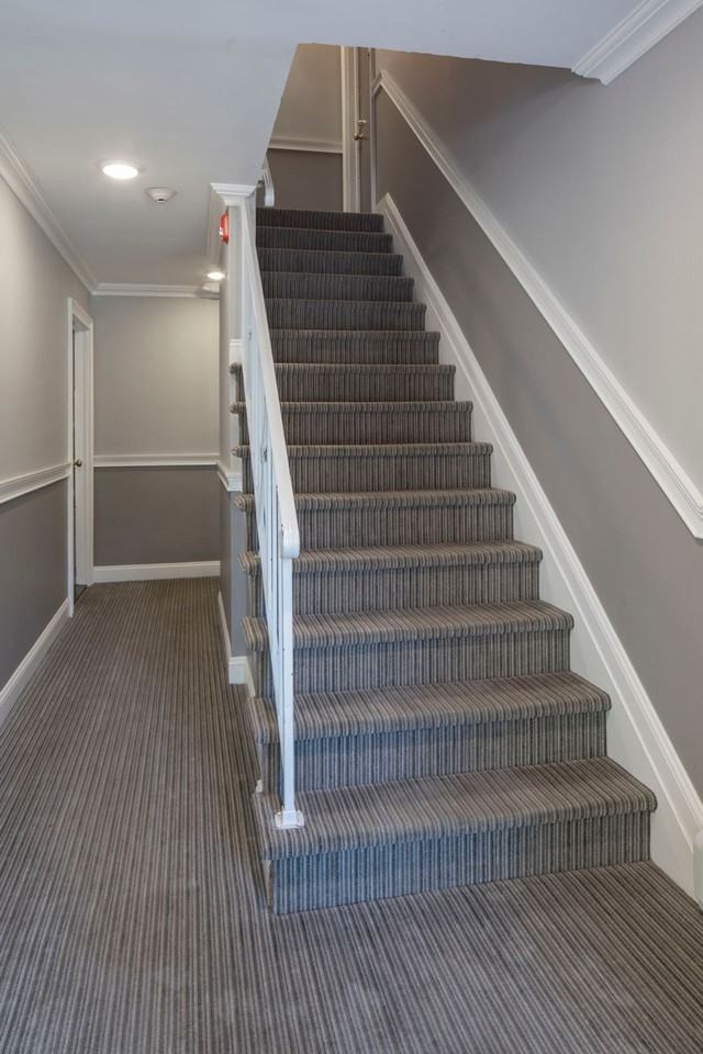 The Linden Apartments: In - Photo 5 of 50