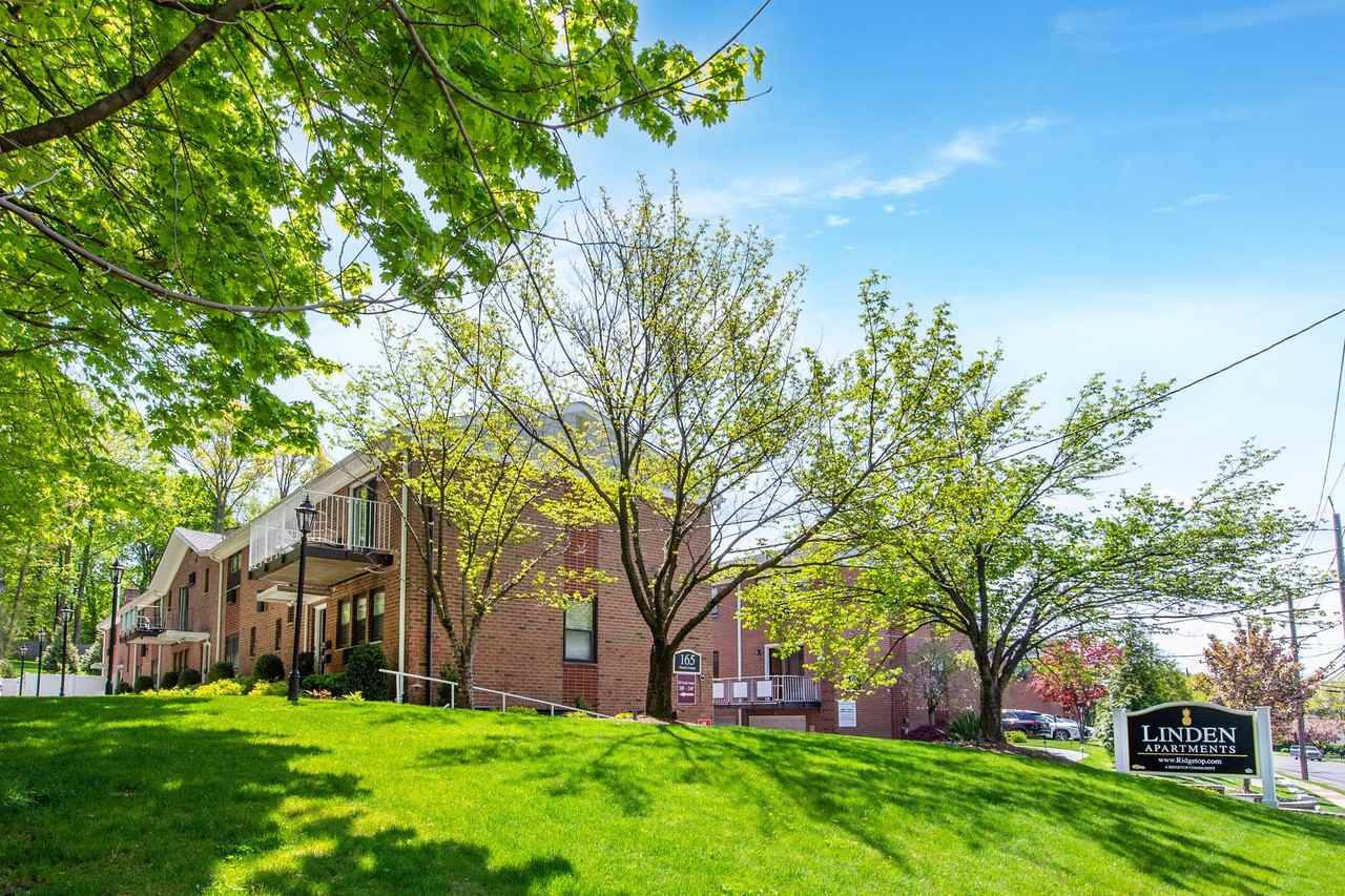 The Linden Apartments: In - Photo 2 of 9