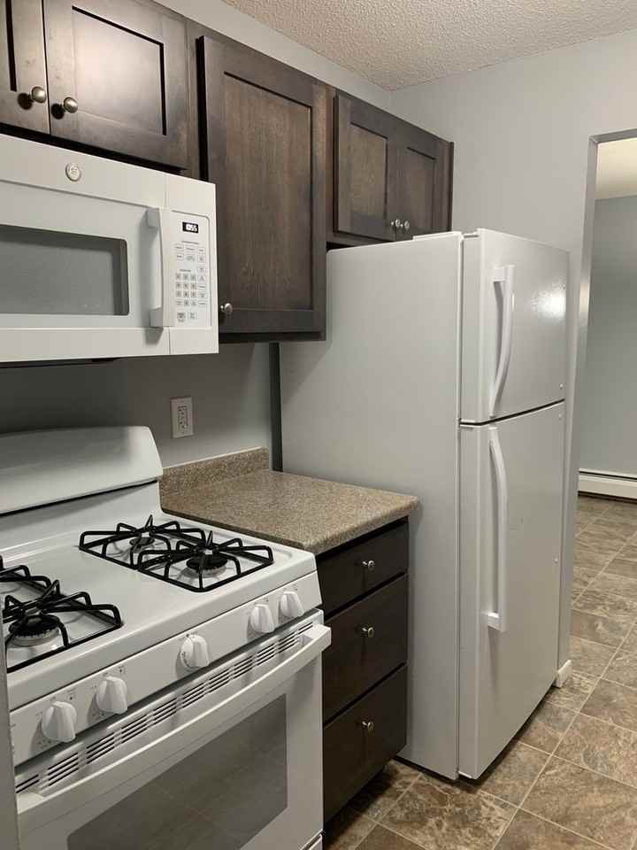 Chanhassen Village - Photo 2 of 50