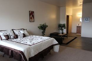 Updated unit close to CMU! Live without roommates at an affordable price! - Photo 1 of 1