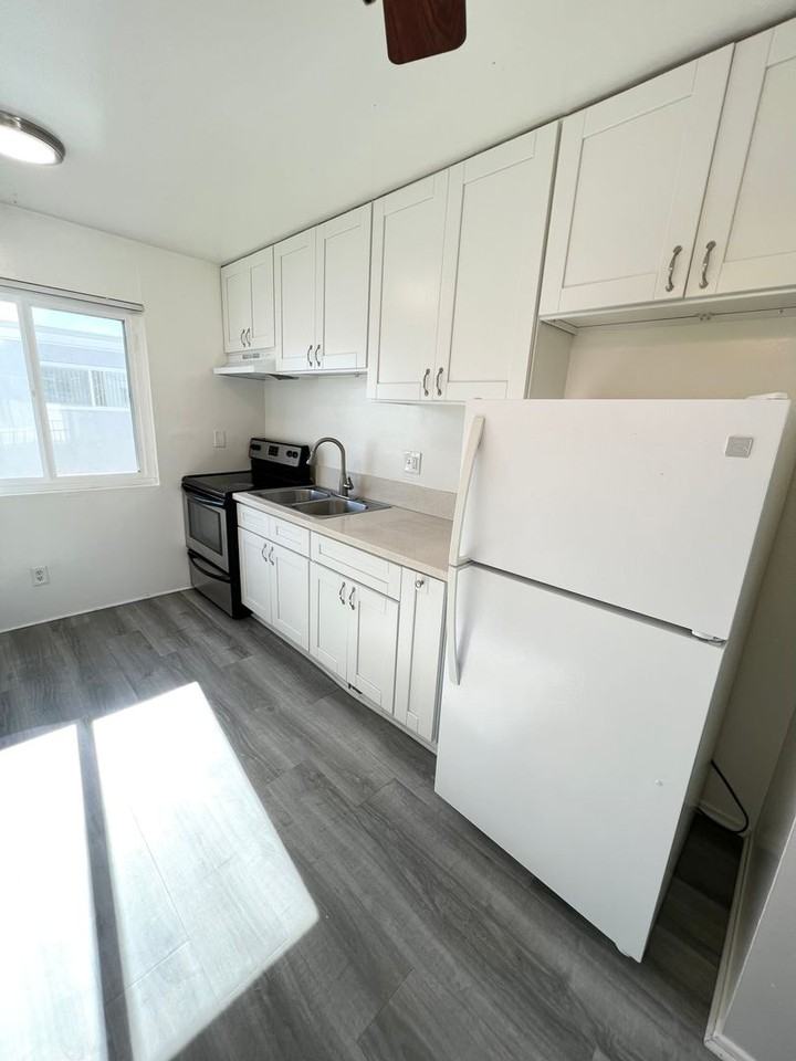 ANZA 2 (Auldin Arms) - Photo 6 of 13