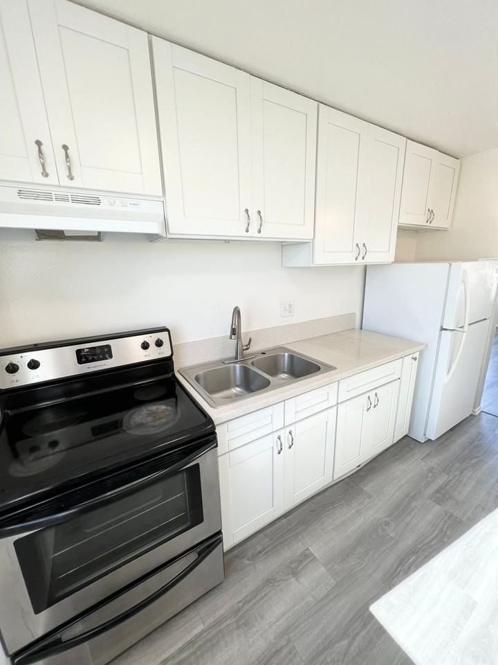 ANZA 2 (Auldin Arms) - Photo 7 of 13