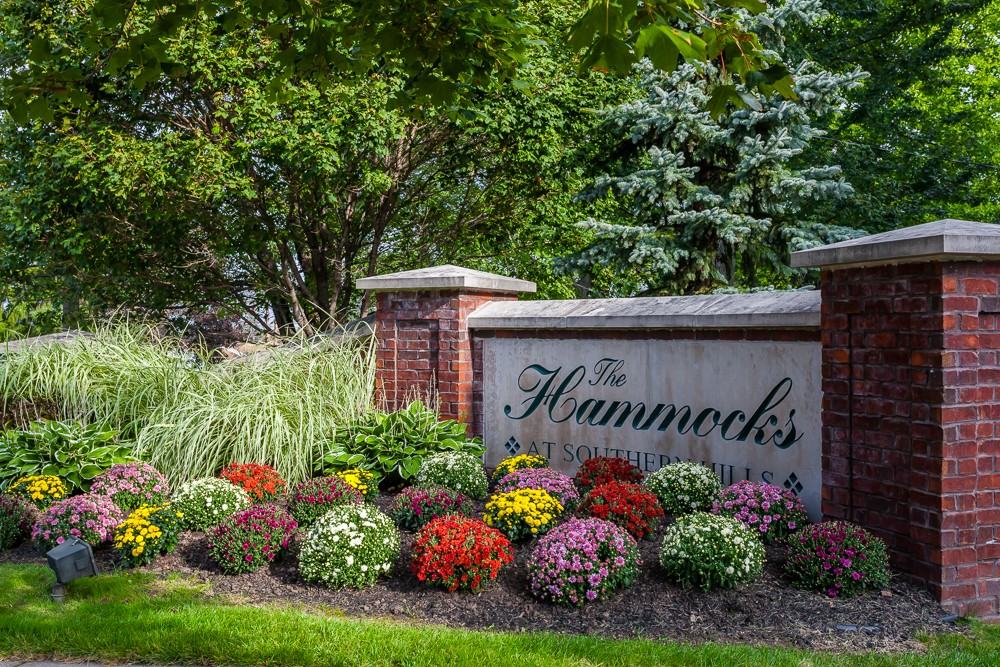 The Hammocks at Southern Hills - Photo 4 of 50