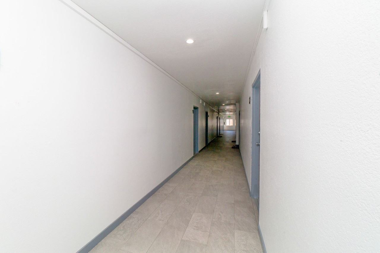 Please visit our beautiful, Newly Renovated Spacious Studio Apartment - Photo 6 of 17