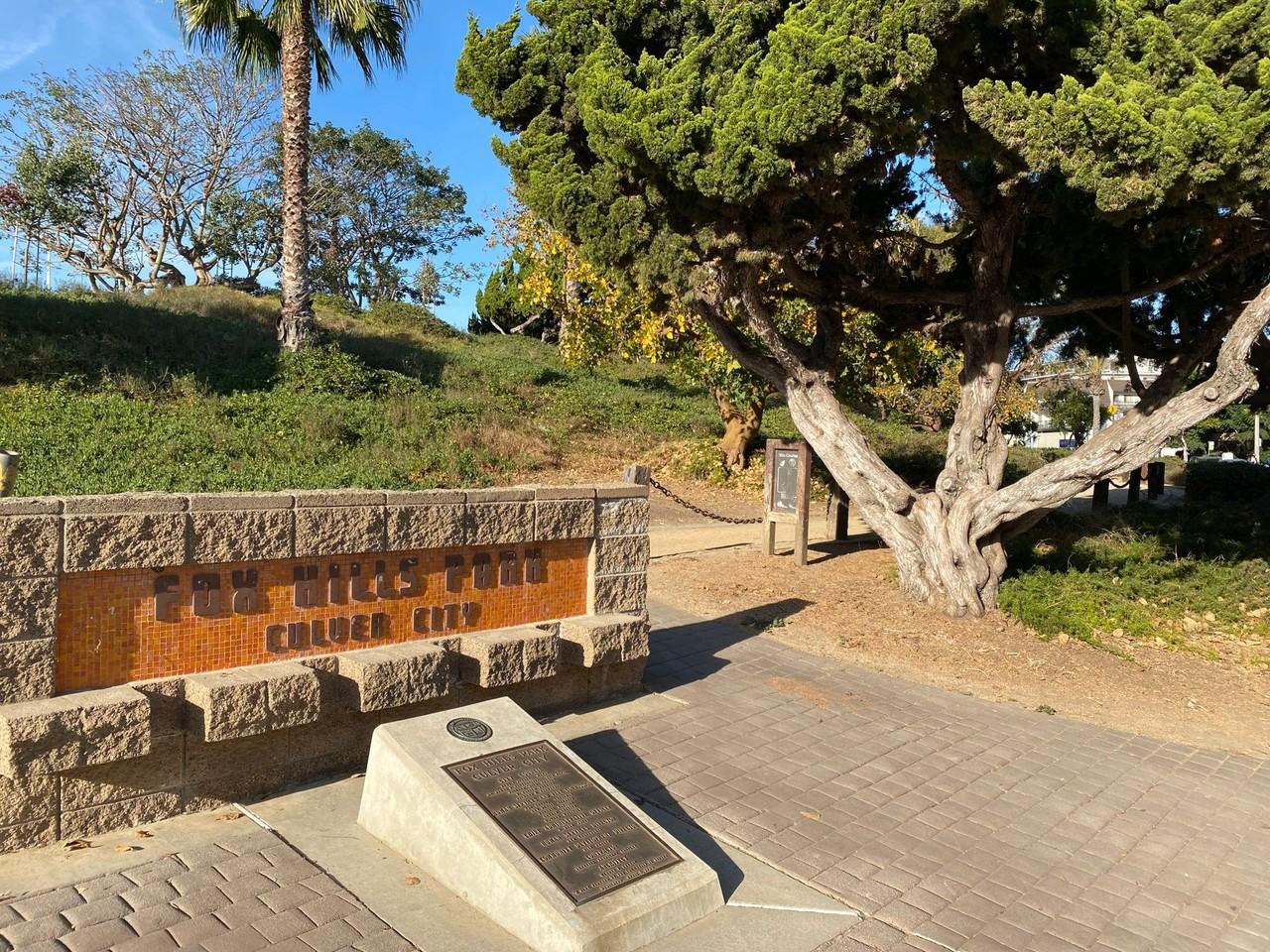 Windsor Place Apartments - Photo 7 of 11