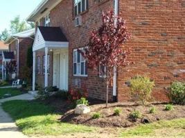 featured image of 100 Lucas Dr