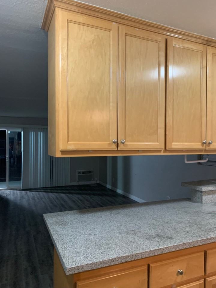 11037 Ferina St - Photo 3 of 5