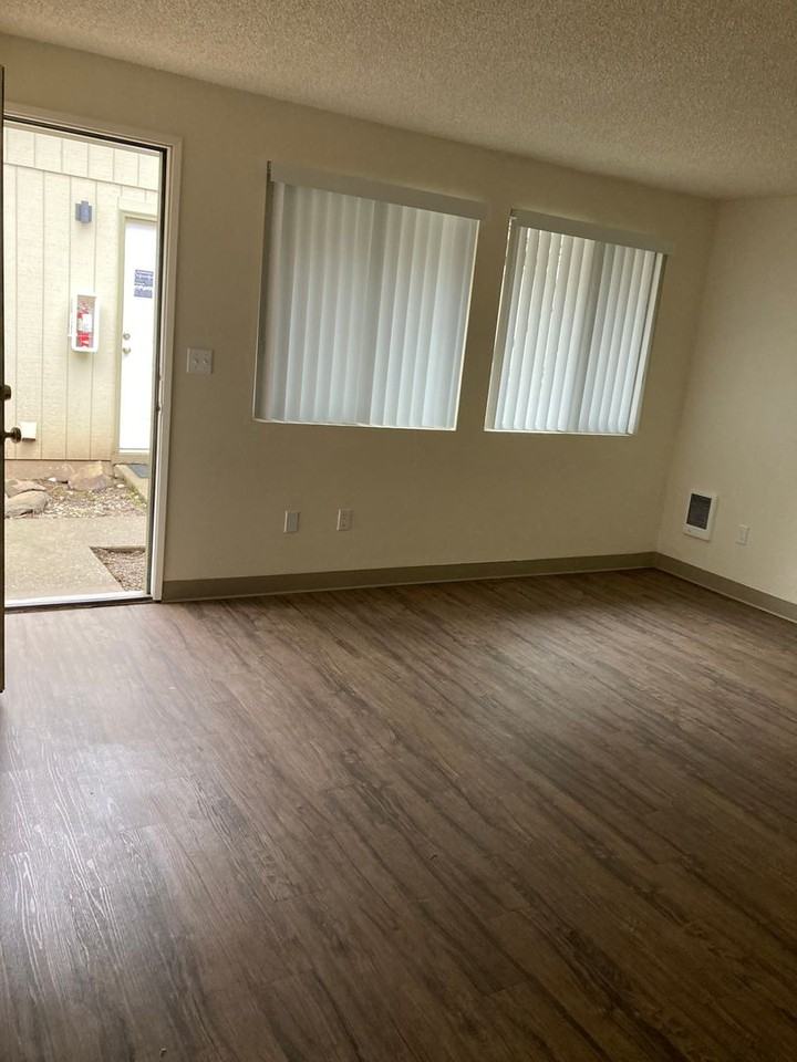 Glacier Lily - Photo 2 of 15