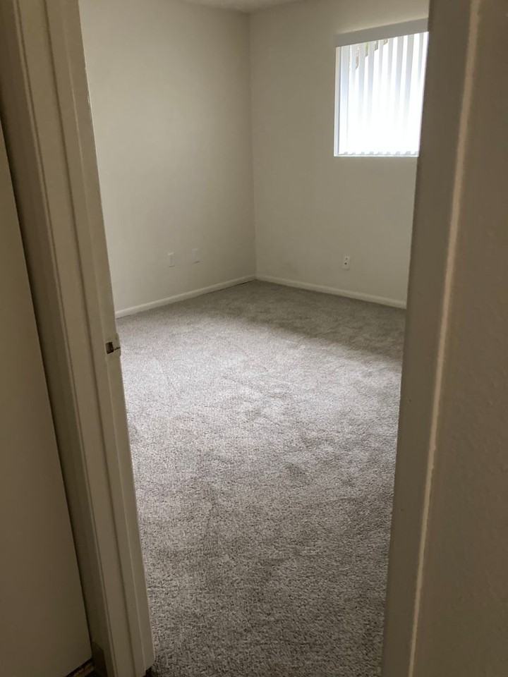 Glacier Lily - Photo 3 of 15