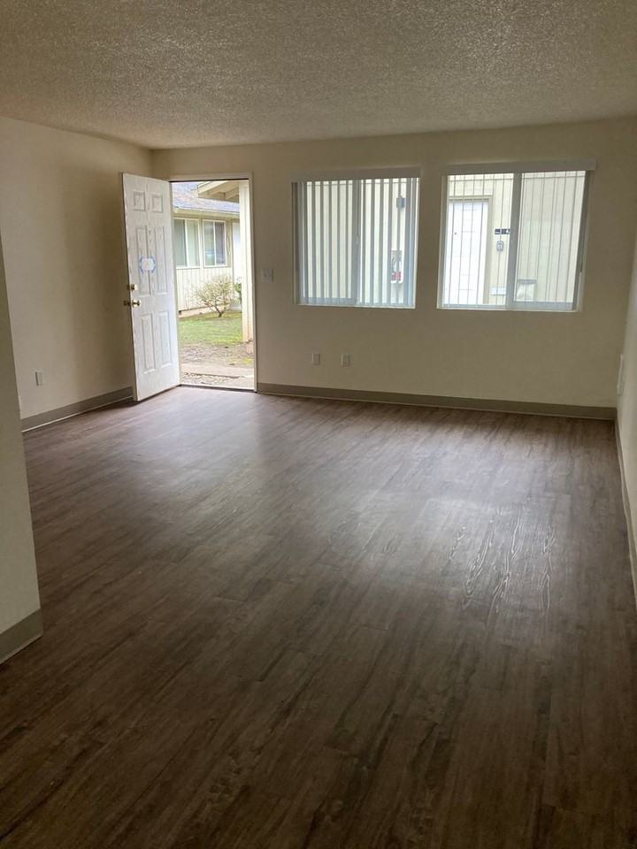 Glacier Lily - Photo 4 of 15