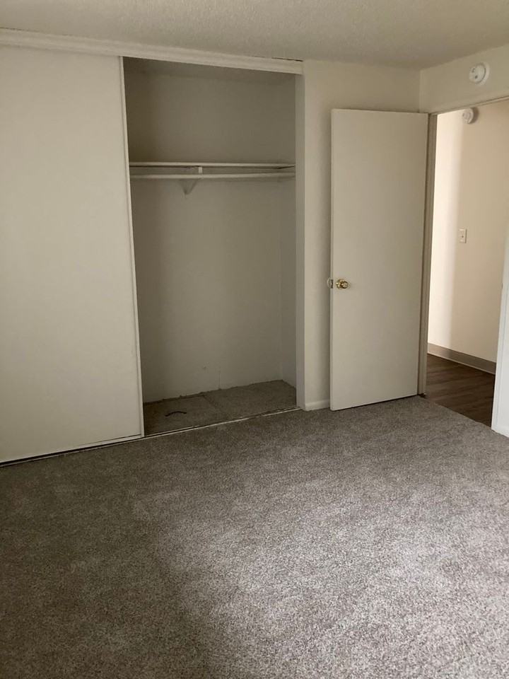 Glacier Lily - Photo 5 of 15