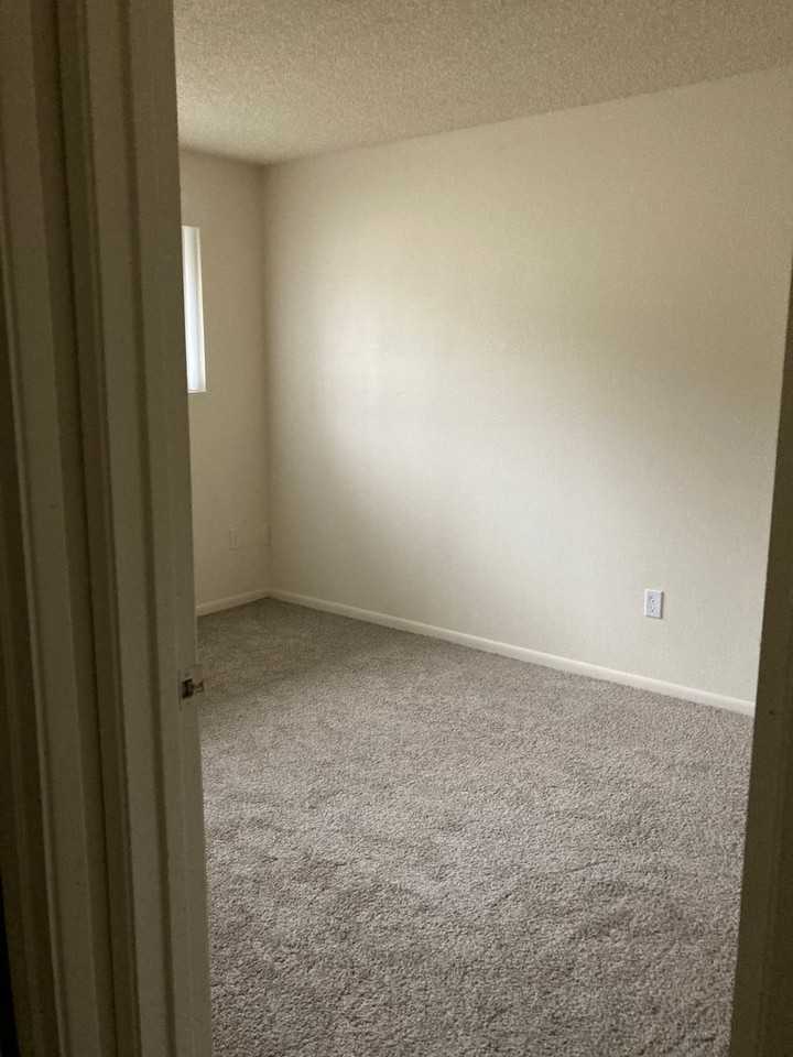 Glacier Lily - Photo 6 of 15