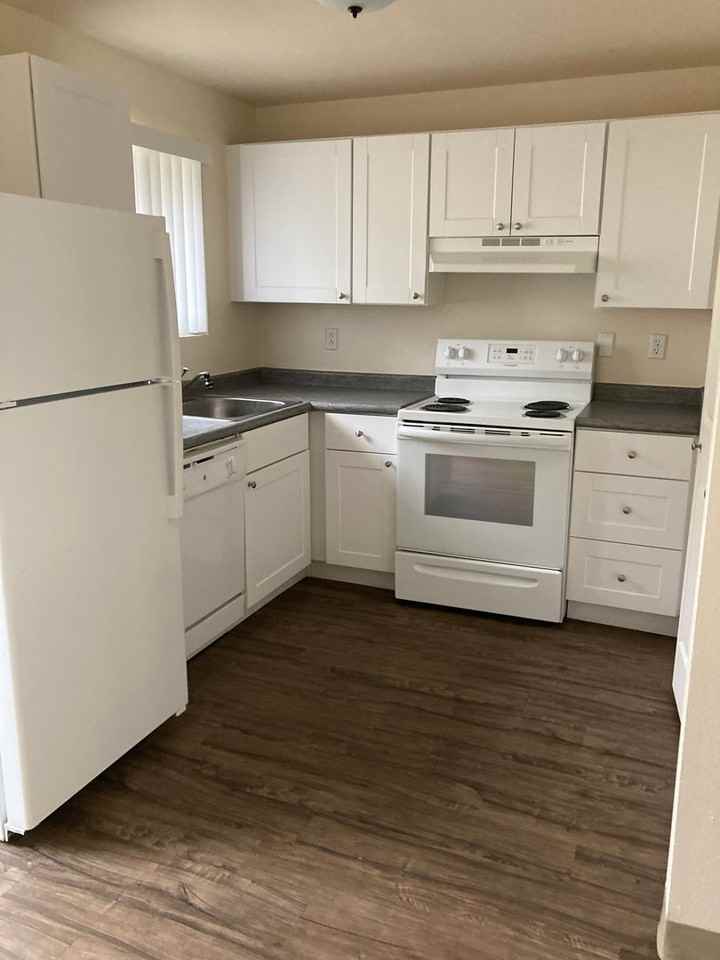 Glacier Lily - Photo 7 of 15