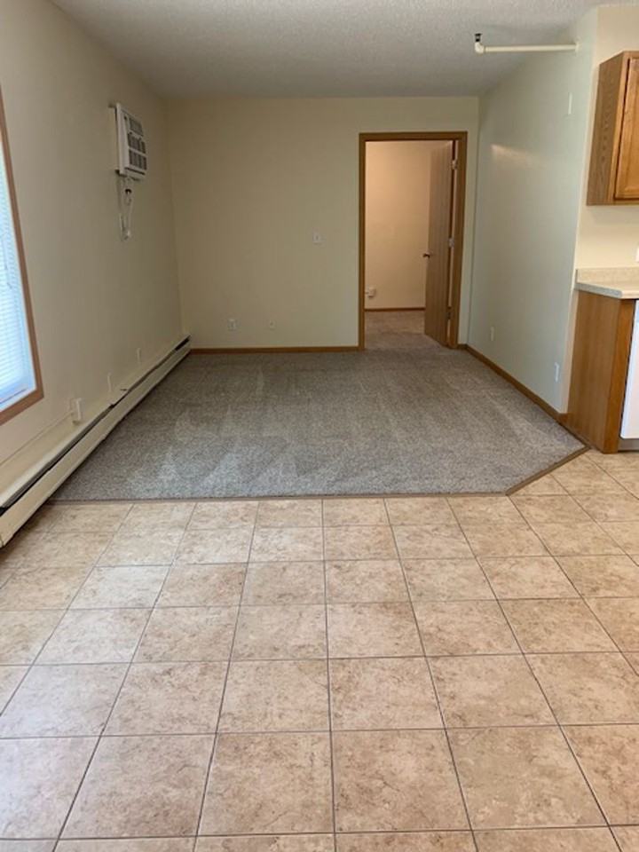 Bluffview Apartments - Photo 3 of 29