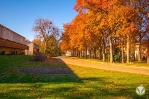 featured image of Charleston Court Apts & THs