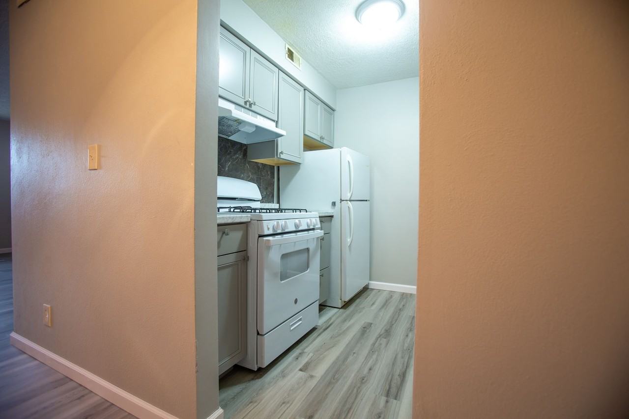 SV - Photo 6 of 17