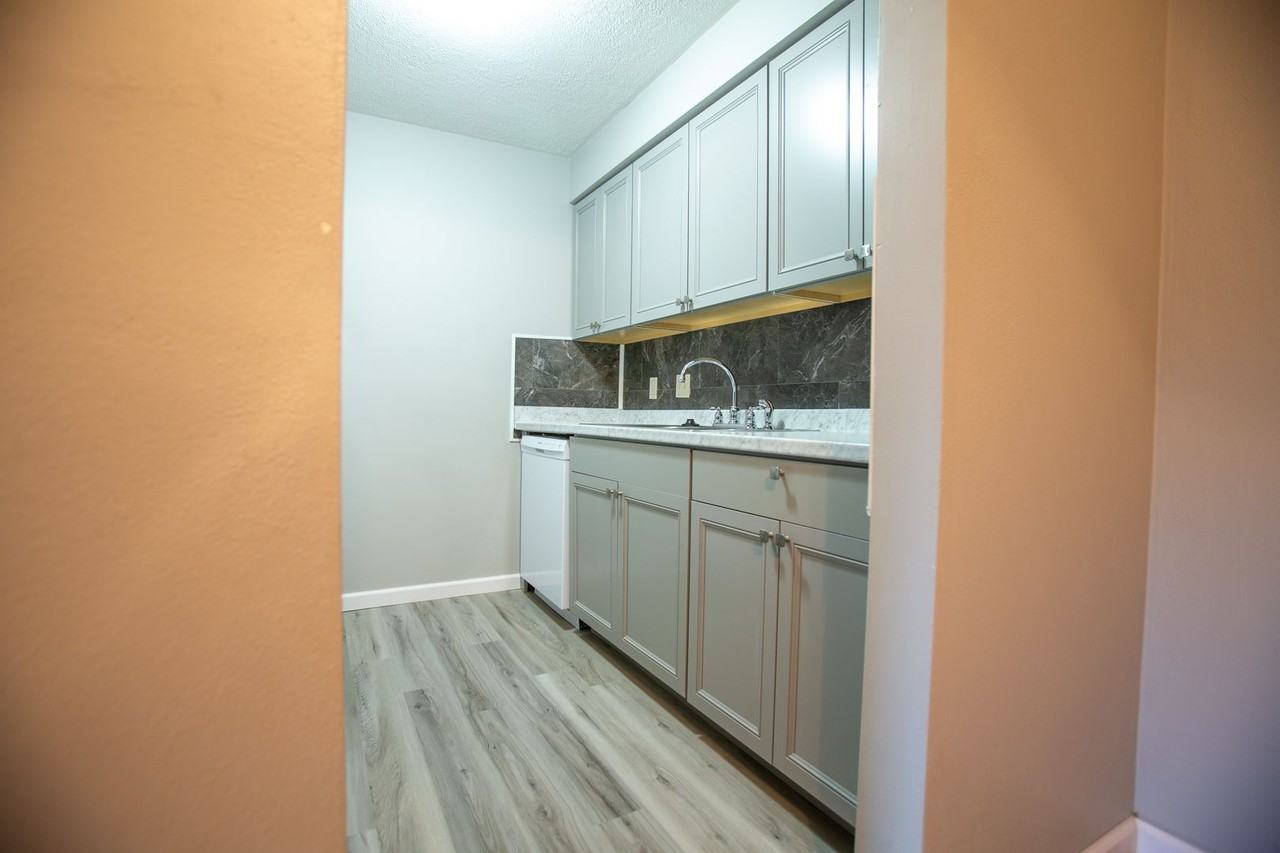 SV - Photo 7 of 17