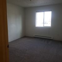 featured image of Valley