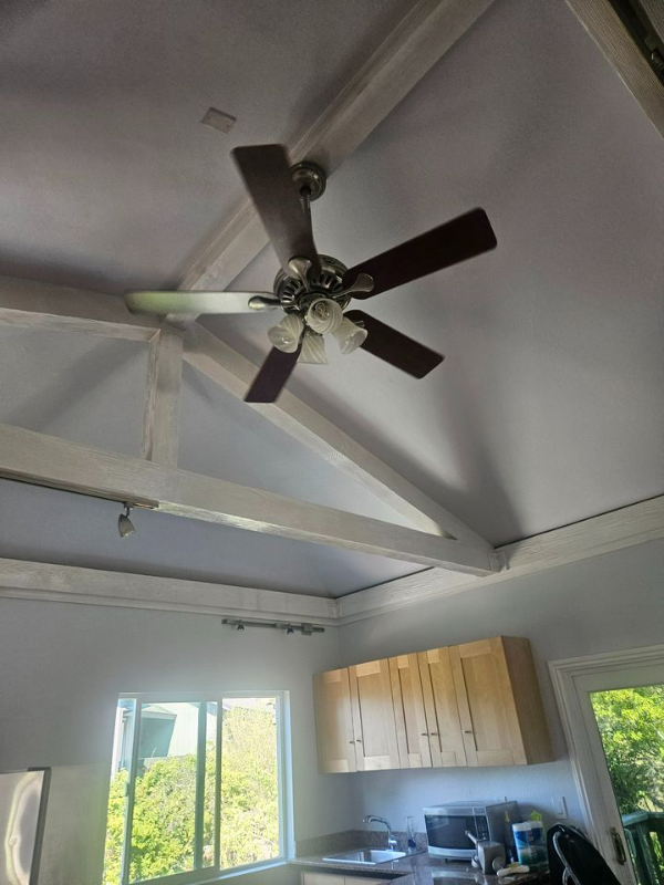 17 Albion St #1 - Photo 3 of 8