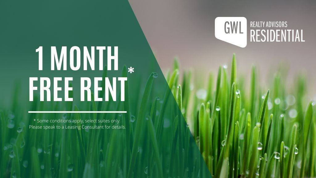 Studio Apartments for Rent in Byward Market, Ottawa, ON 25 Rentals Zumper