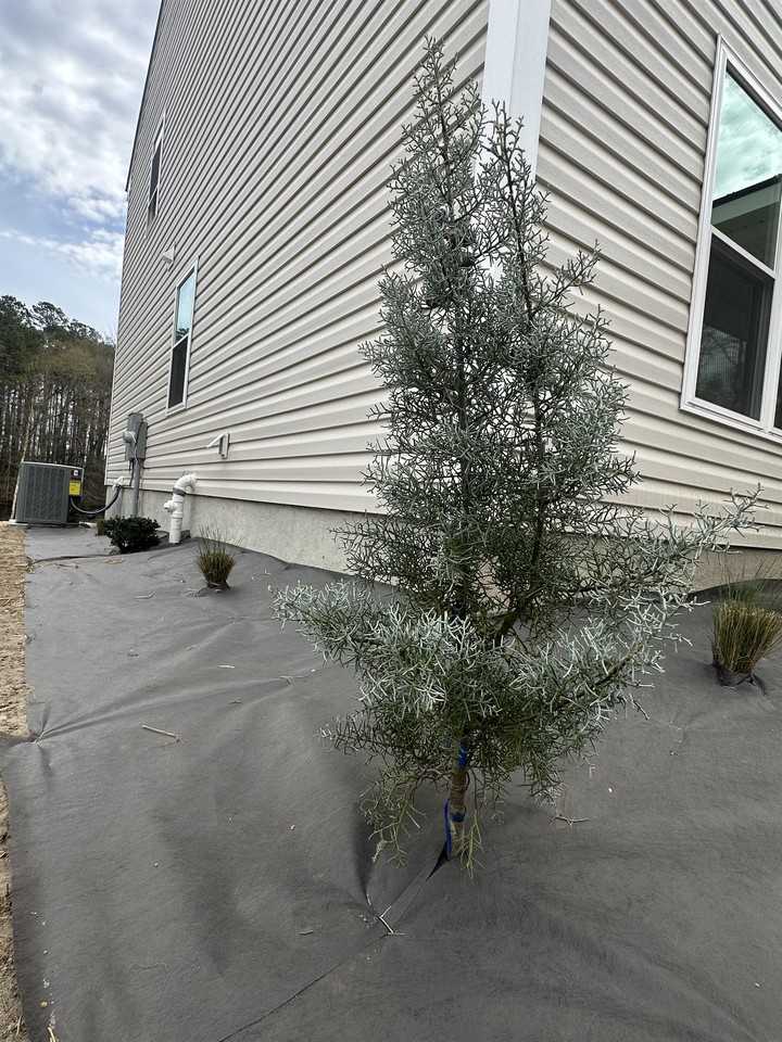 157 North Clarendon Drive #1 - Photo 3 of 11