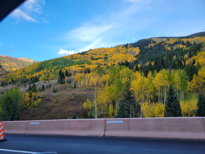 1255 Meadow Dr - Photo 3 of 6