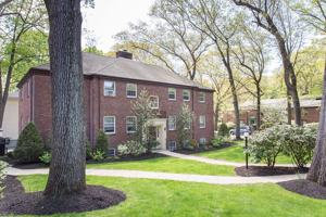 featured image of Wyman St #2