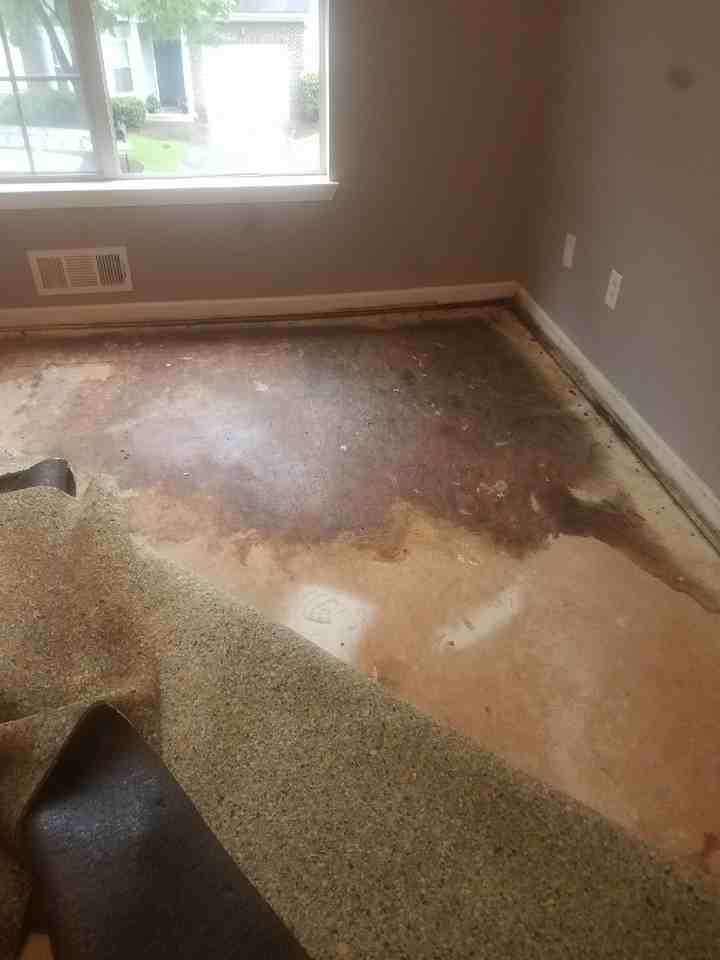 2432 Laurel Cir Nw - Photo 2 of 50