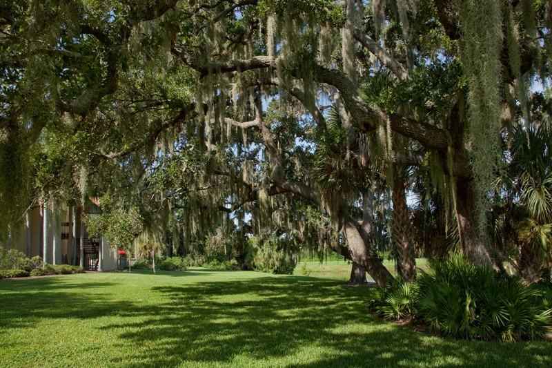 L'Estancia - Photo 2 of 24