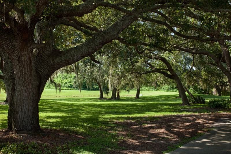 L'Estancia - Photo 3 of 24