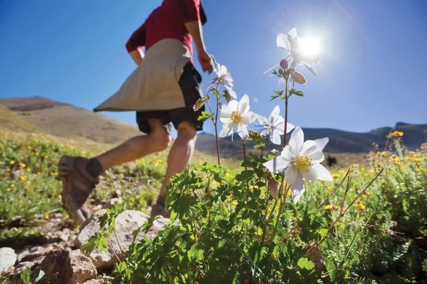 Trail Ridge at Woodland Park - Photo 2 of 6