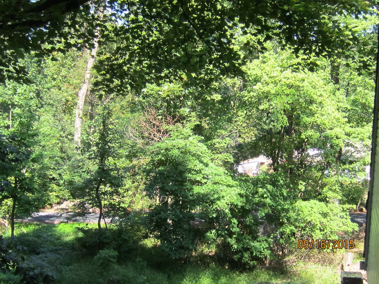 365 Horseshoe Trail Rd - Photo 2 of 13