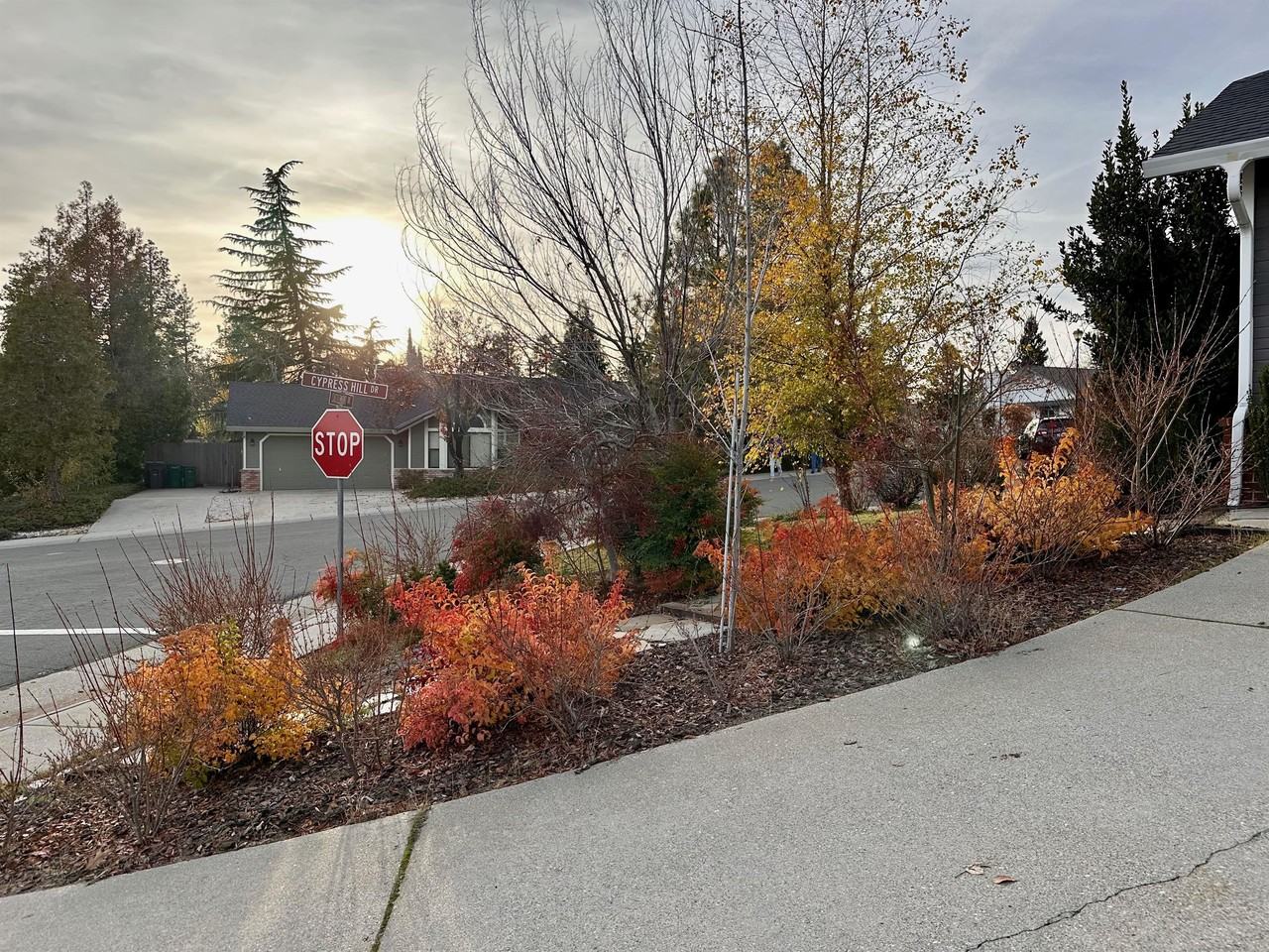 148 Castlemont Dr #1 - Photo 4 of 37